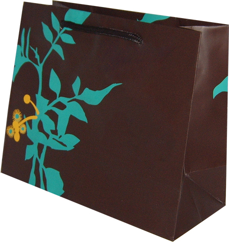 Mat Selefonlu Karton Çanta