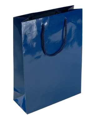 Parlak Selefonlu Karton Çanta